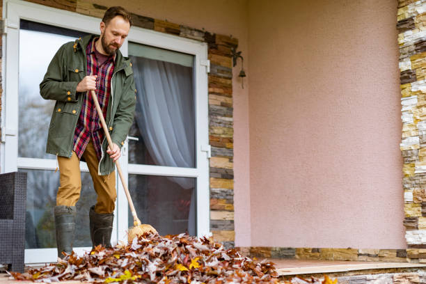 Attic Cleanout Services in Perris, CA